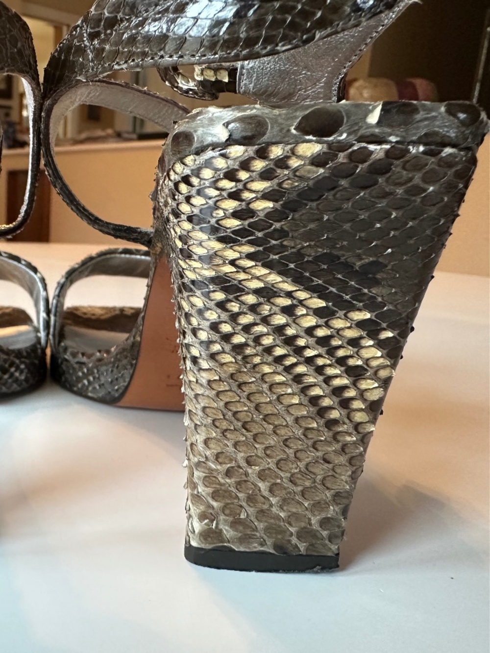 Python Heels - Picture 12 of 16